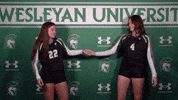 Iwuwvb24 GIF by iwusports