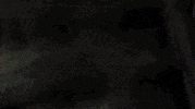 emo night la GIF by Emo Nite