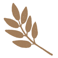 Fall Autumn Sticker by Daniela Nachtigall