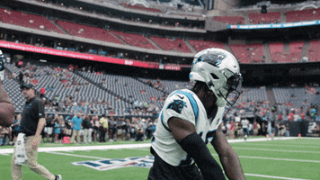 Football Nfl GIF by Carolina Panthers