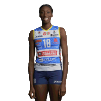 Heart Volleyball Sticker by ImocoVolley