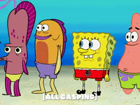 season 6 GIF by SpongeBob SquarePants
