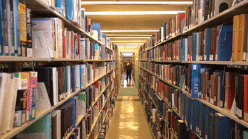 Library Uvm GIF by University of Vermont
