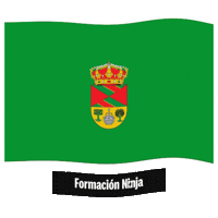 Comunidad De Madrid Bandera Sticker by Formación Ninja