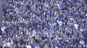 College Football GIF by Washington Athletics