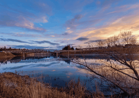 adrianprestonbrown giphygifmaker giphyattribution adrian preston brown GIF