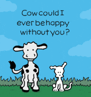 I Love You Dogs GIF by Chippy the Dog