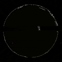 staywild wildgeist.com GIF