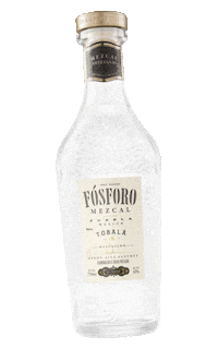 fsforomezcal celebration cheers mexico wine Sticker