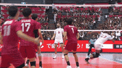 Japan Nippon GIF by Volleyball World
