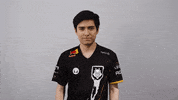 League Of Legends Lol GIF by G2 Esports