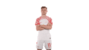Football What Sticker by RB Leipzig
