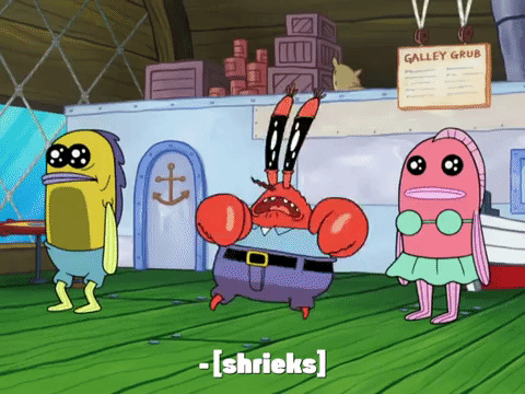 season 8 GIF by SpongeBob SquarePants