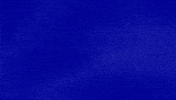 In Charge Wtf GIF by Jeopardy!