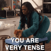 Season 2 Dog GIF by Paramount+