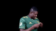 portland timbers badge kiss GIF by Timbers
