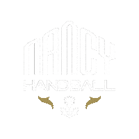 Proligue Villedenancy Sticker by Nancy Handball