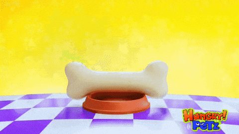 Angry Pets GIF by HangryPetz