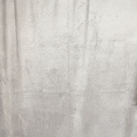 No Way Omg GIF by Ryn Dean