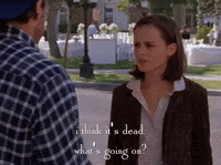 season 4 netflix GIF by Gilmore Girls 