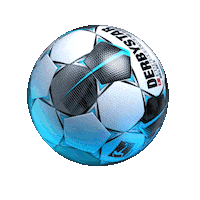 Football Soccer Sticker by Bundesliga