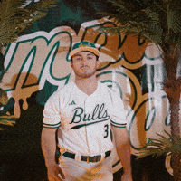 South Florida Baseball GIF by USF Athletics