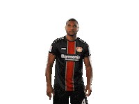 bundesliga no Sticker by Bayer 04 Leverkusen
