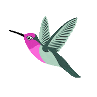 Hummingbird Colibri Sticker by KolibriDesign by Tamy