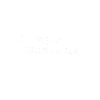 Illustration Sticker