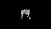 revengegallery revengegallery revengeoffical GIF