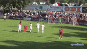 Kickersoffenbach Dominikdraband GIF by 3ECKE11ER