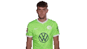 Champions League Yes Sticker by VfL Wolfsburg