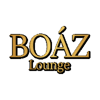 BoazLounge boaz boazlounge boazberlin Sticker
