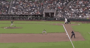 Notre Dame Baseball GIF by NCAA Championships