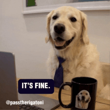 Nervous Golden Retriever GIF by Rigatoni