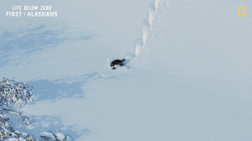 Snow Falling GIF by National Geographic Channel