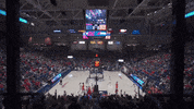 Celebration Fans GIF by Gonzaga Bulldogs
