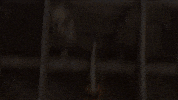 driving mad max GIF by Alpha