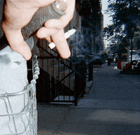 submission GIF by The Savannah .GIF Festival