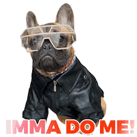 French Bulldog Badass Sticker by Pimp Yo Pets