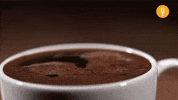 Cup Of Coffee GIF by CuriosityStream