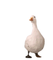 Robert Downey Jr Sticker by Dolittle