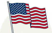 Independence Day Celebration Sticker by Snap Finance