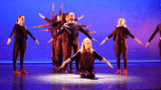 tutting hip hop dance GIF by Chicago Dance Crash
