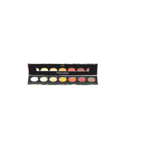 thefuschiaeffect giphyupload paradise eyeshadowpalette fuschiamakeup Sticker