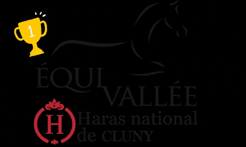 Horse Jumping GIF by Equivallée - Haras national de Cluny