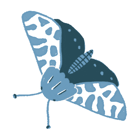 mar_martinez2 giphyupload naturaleza mariposa mariamartinez Sticker