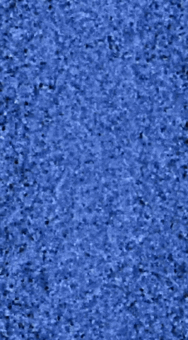 Psg Ninjas GIF by Prenger Solutions Group