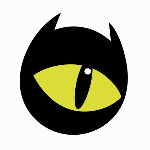 MOREBOARDS giphyupload eye blackcat cateye GIF