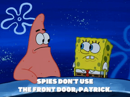 season 5 GIF by SpongeBob SquarePants
